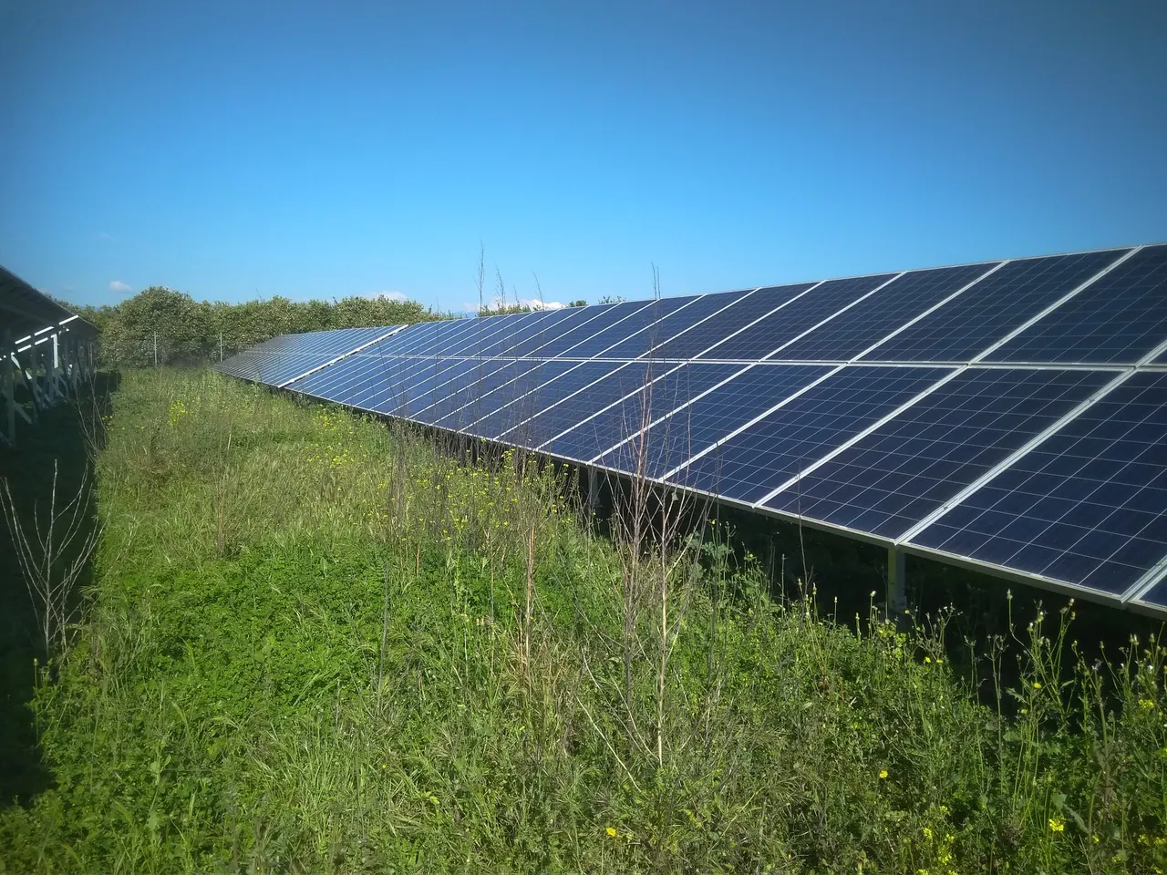 Φωτοβολταϊκό πάρκο Λακωνία 100 kWp