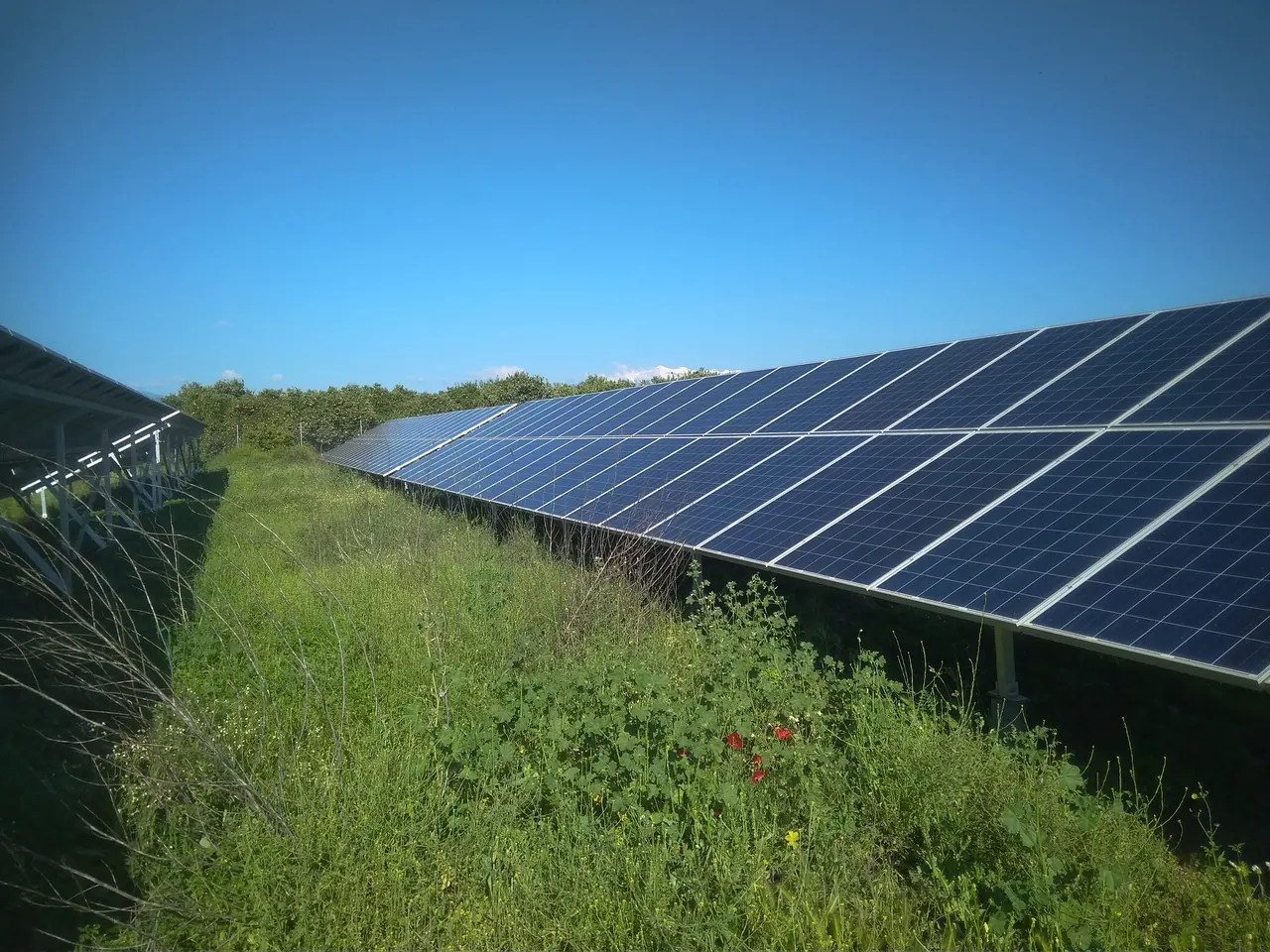 Φωτοβολταϊκό πάρκο Λακωνία 100 kWp
