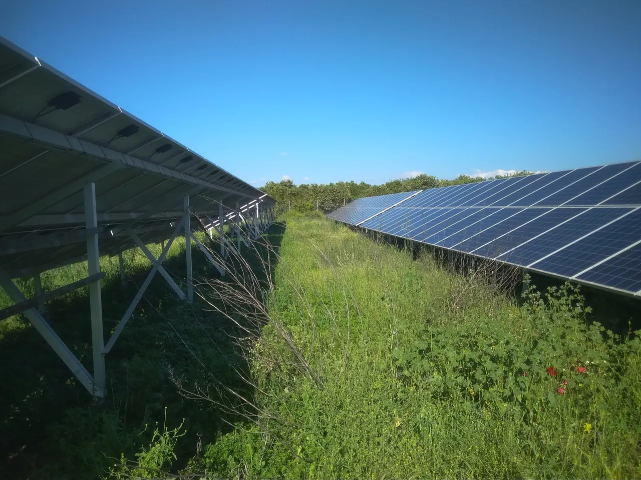 Φωτοβολταϊκό πάρκο Λακωνία 100 kWp