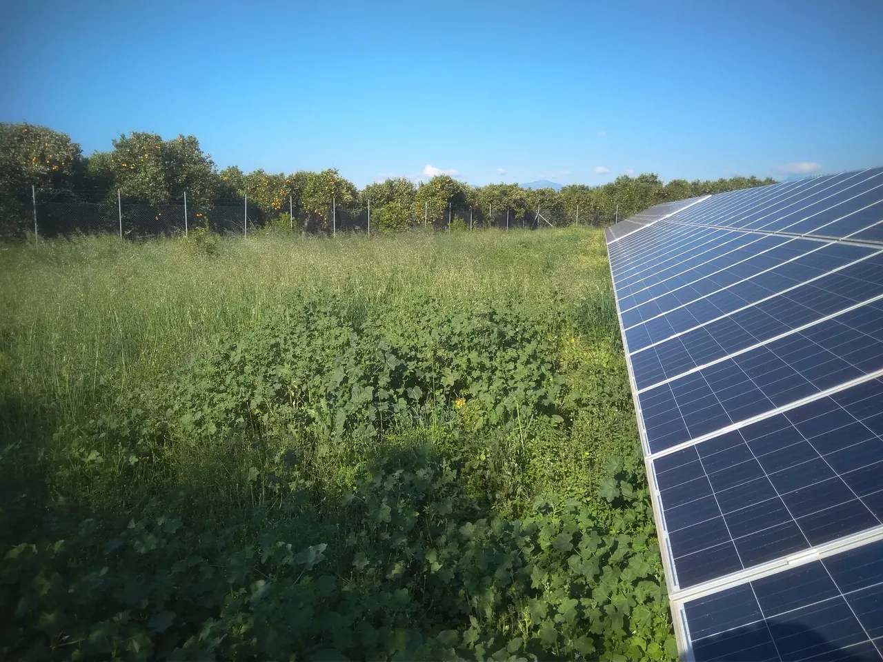Φωτοβολταϊκό πάρκο Λακωνία 100 kWp